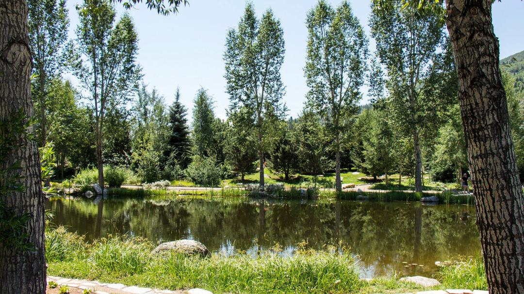 Patrick McDougle's album, Yampa River Botanic Park