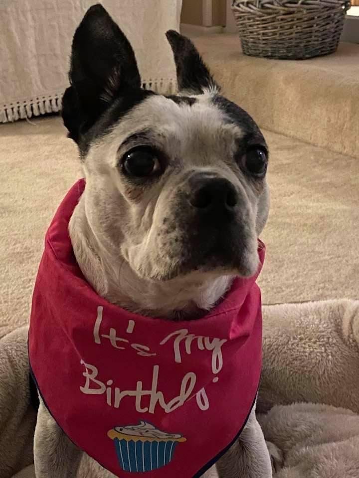 Birthday girl had fun on her special day!!!❤️🎉🎂🎁