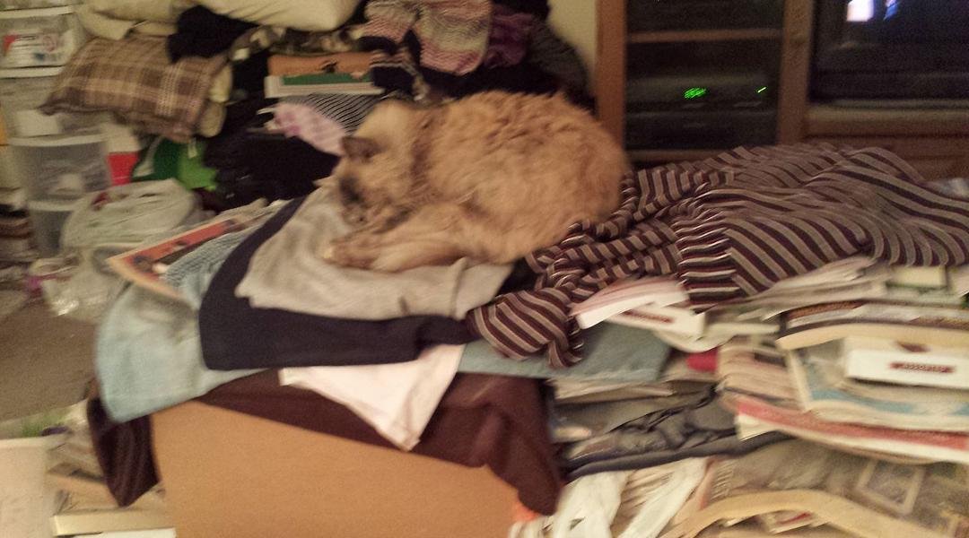 Does anyone have a cat who jumps on your work clothes to keep you home?? I found my Sandy "making the bed" with my clothes and purring aeay. The little manipulator