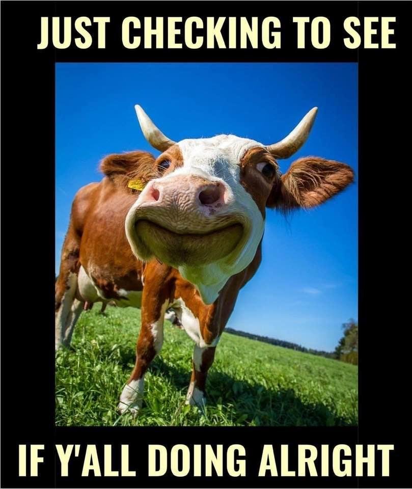 Hope it creates a Smile 😃