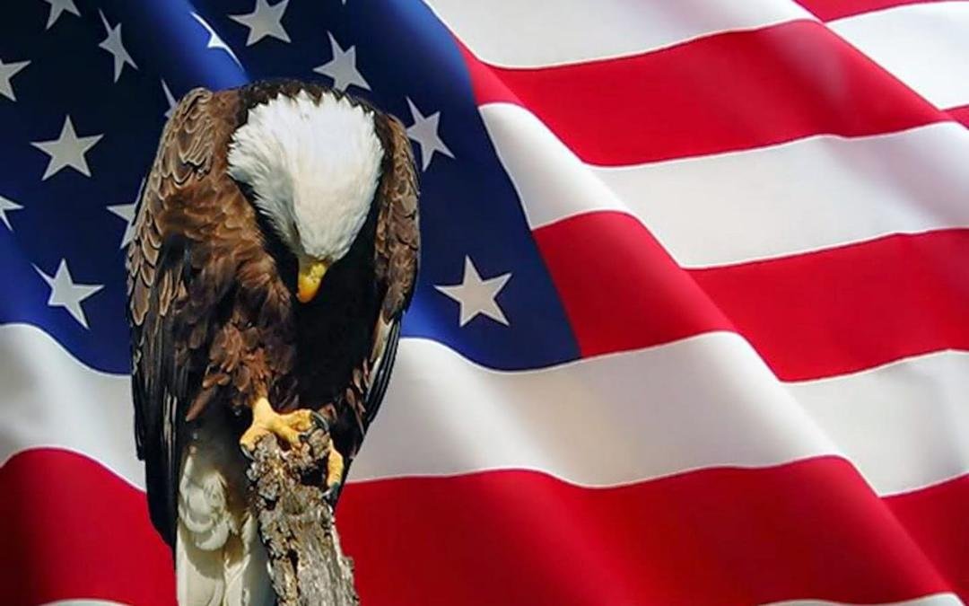 Dear United States Congress,
"The hottest place in Hell is reserved for those who remain neutral in times of great moral conflict."
-Martin Luther King, Jr.