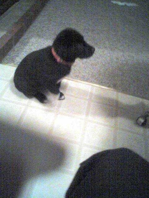 Nellie Mathis' album, December 28, 2010