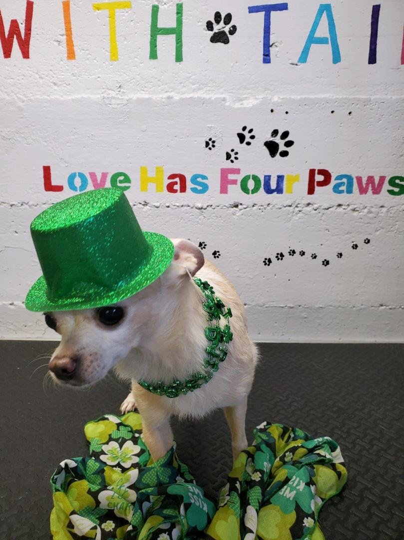 Sandy wishes everyone a happy St Patty's day!!!