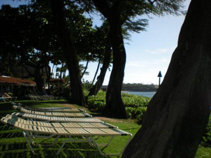 Maui Kaanapali Villas lawn