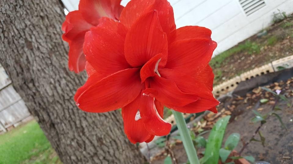 Mother's day full beauty and hope.