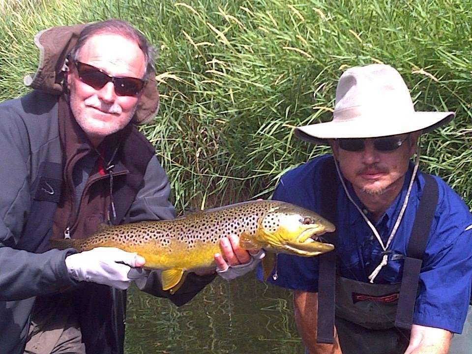 ANOTHER DRY FLY HOPPER CRASHING TAKE.!...ferocious ....