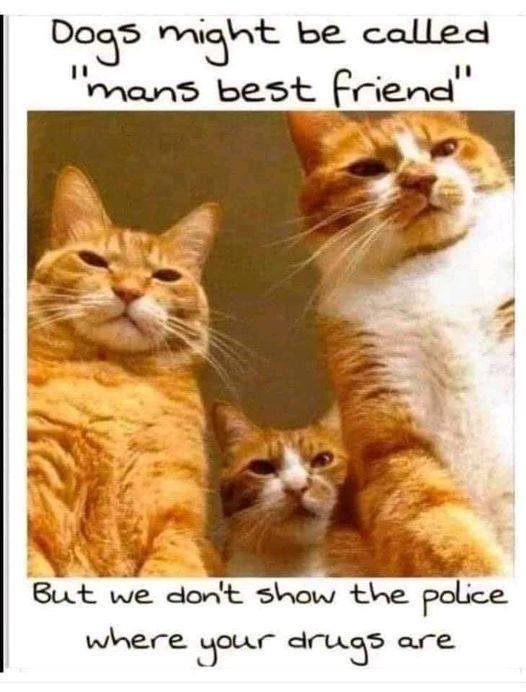 SUSAN GREENE's album, Timeline photos