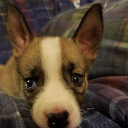 My blue & green eyed girl