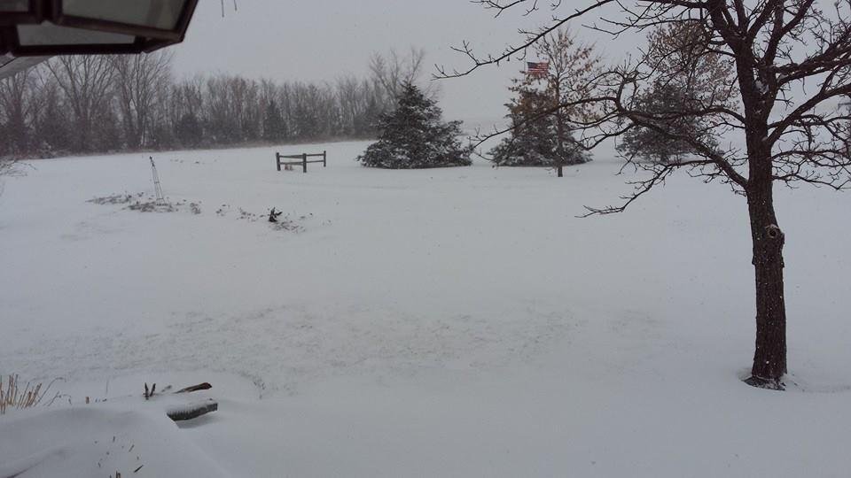 Winter wonderland