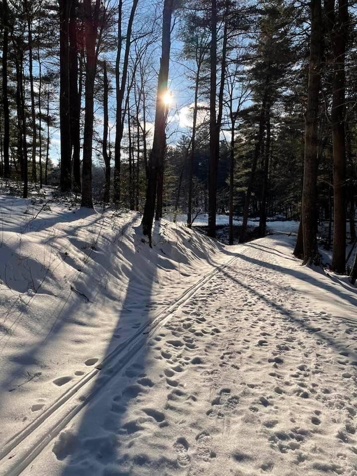 Nancy Blatz's album, Timeline photos