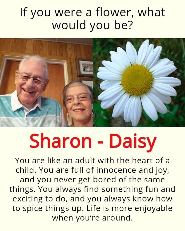 Sharon Leight's album, Timeline photos