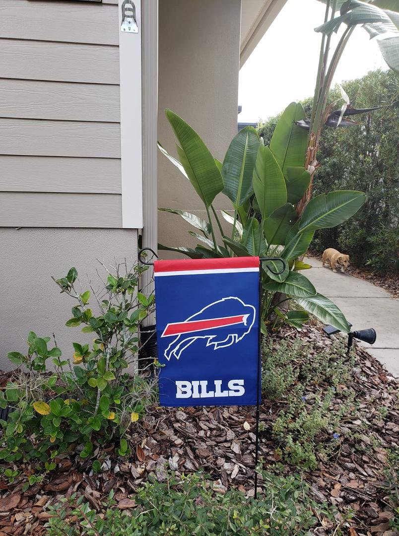 My Bills yard flag arrived just in time! Honey agrees!