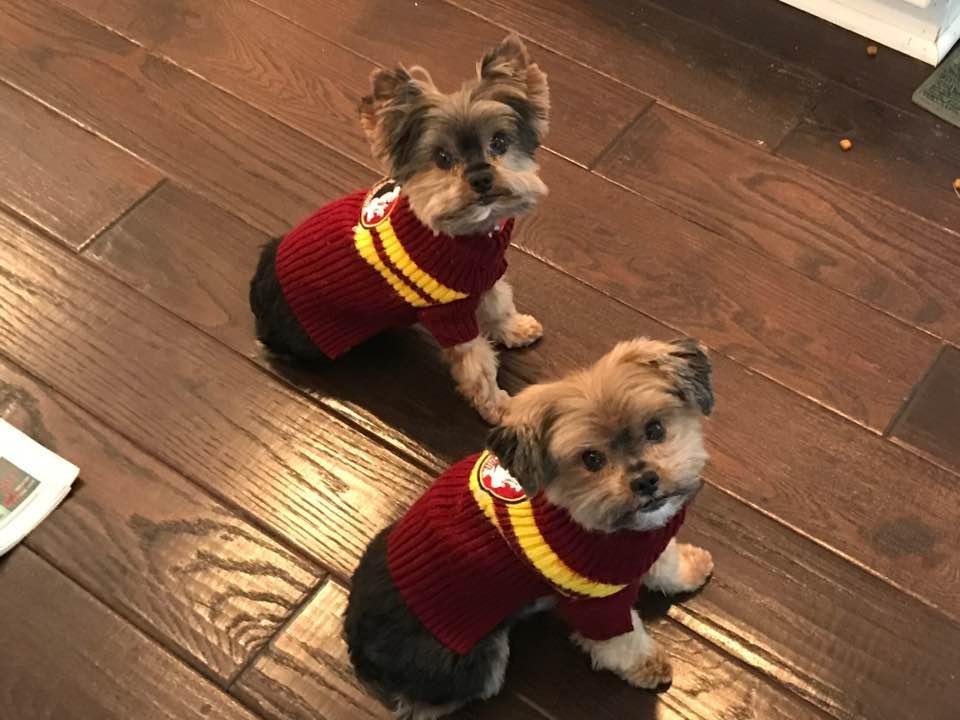 My Boys All Decked Out in "NOLES" Gear!!!