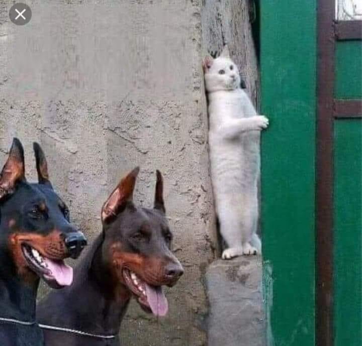 Maybe not so curious at all.
