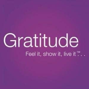 Cyndi Sander's album, Mobile Uploads