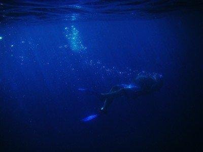 I'd rather be swimming...