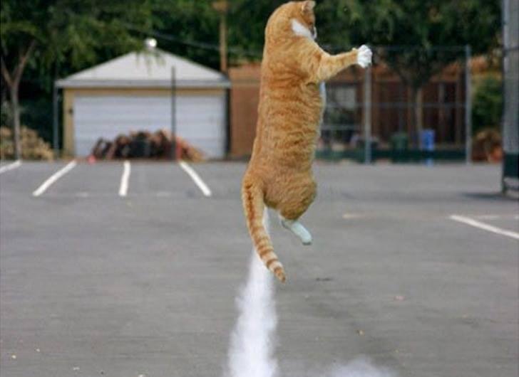 5...4...3...2...1...LIFTOFF!