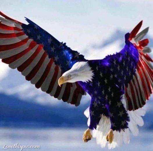Happy Birthday America!