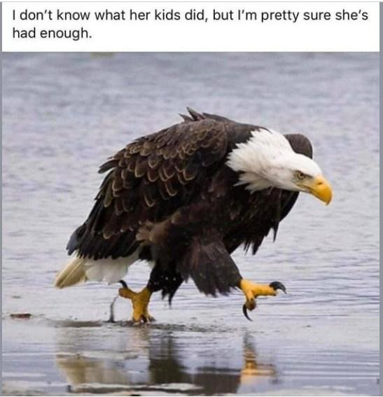 No need to say anything.