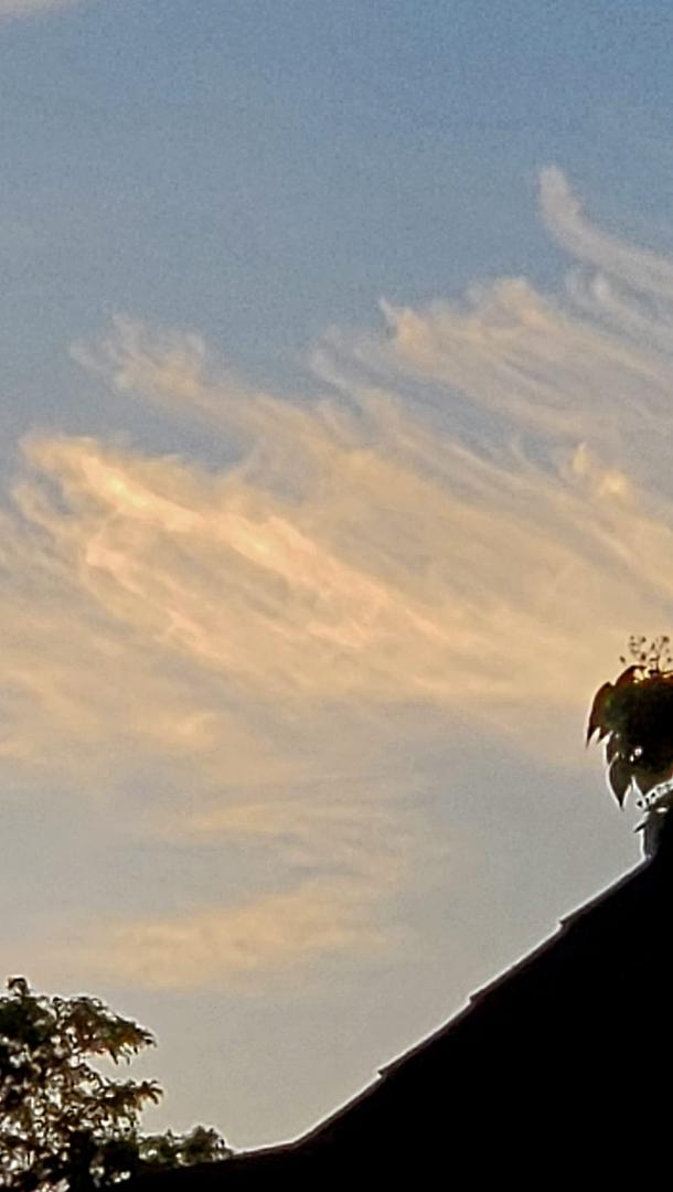 In all my 53years, I don't ever remember seeing clouds like these!! Looks like pencil scribbles. Saw them at 5:30am, today.
