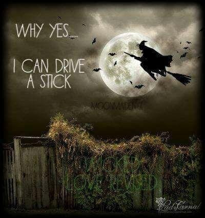 CAN YOU DRIVE A STICK?