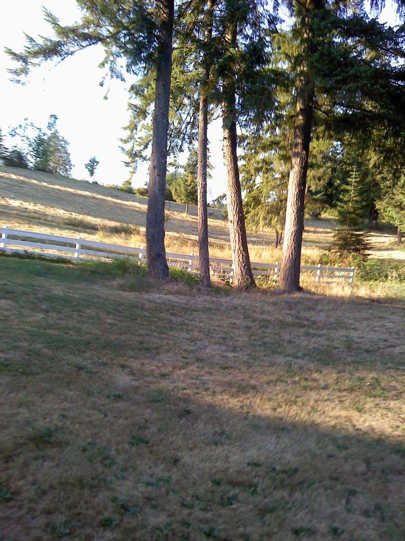 fun is, chasing deer in my back yard