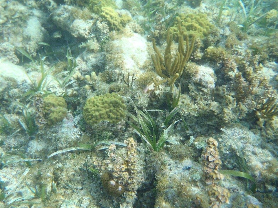 John Derbin's album, Cayman 2012