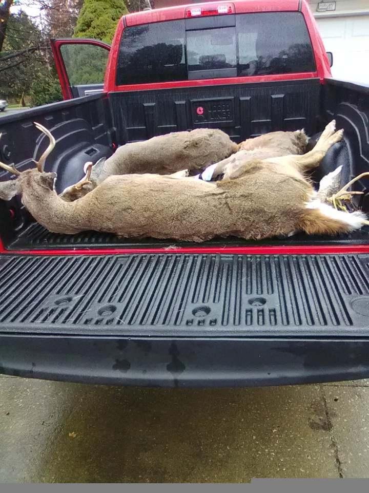 3 deer getting cut up 2018 from west v.