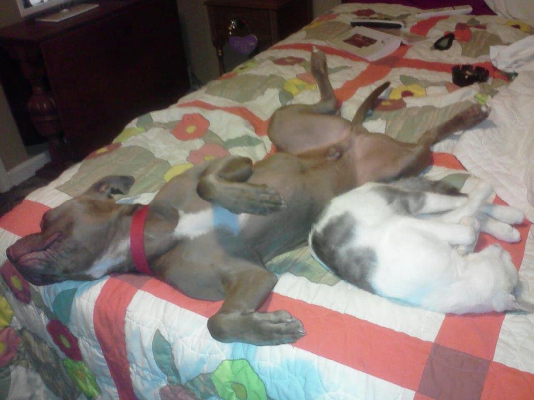 Lazy day..