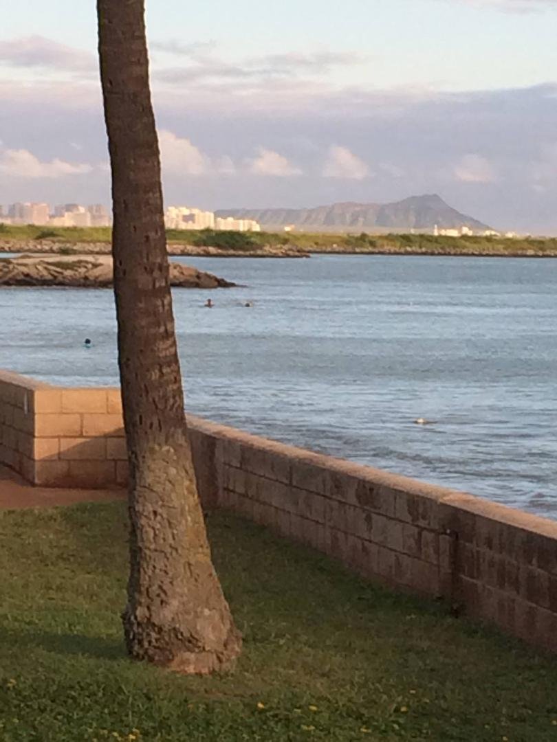 At Hickham Air Force base view of diamond head and Waikiki having dinner