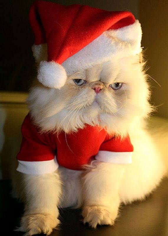 Tom Clark's album, Timeline Photos