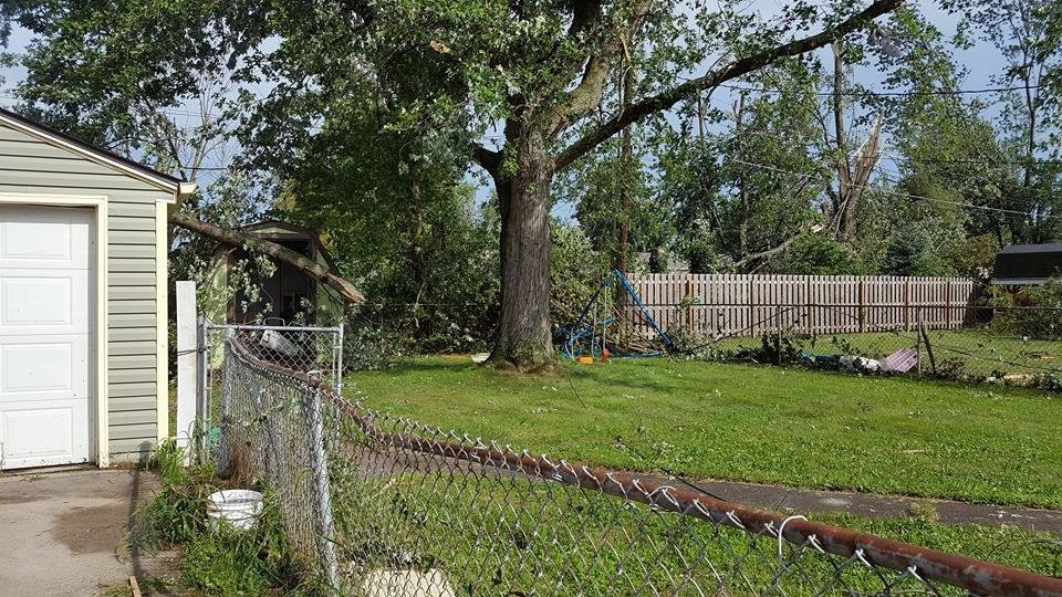 Our backyard. Shows the limb on our garage. I don't know if you can see that there is part of a swingset