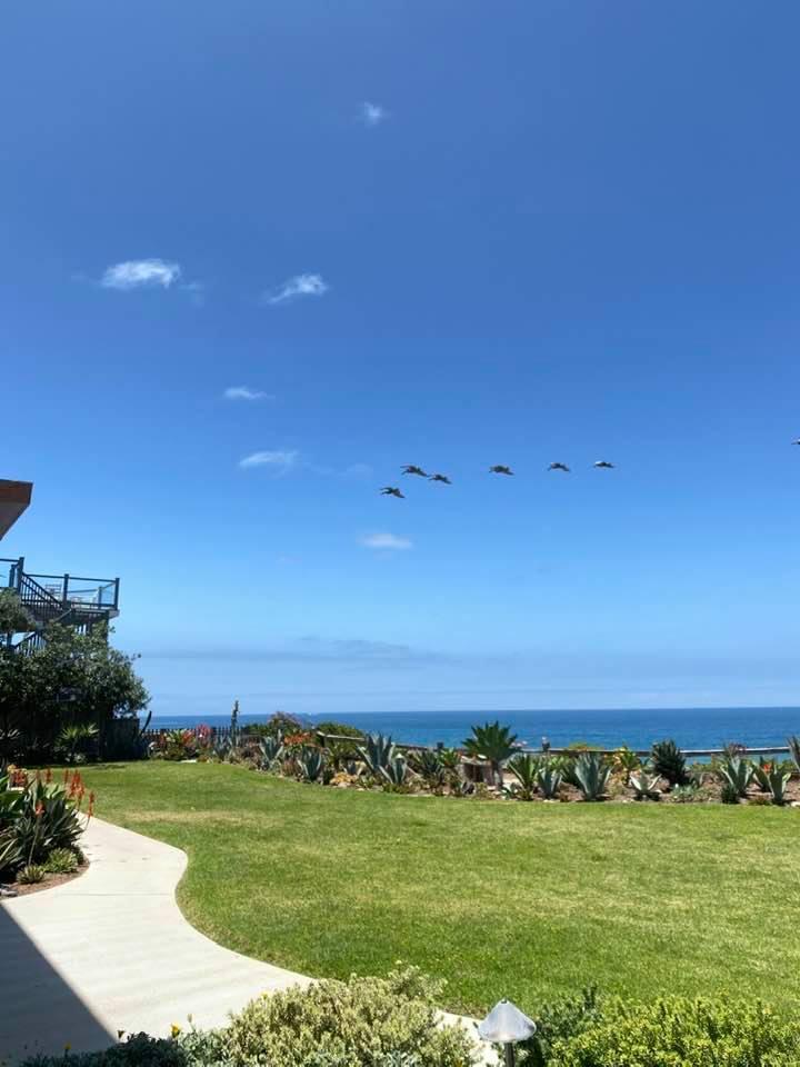 Allison Herron's album, Timeline photos