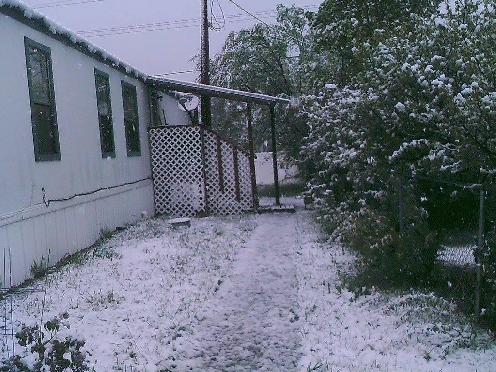 Barbara Trautlein's album, SnowApr26 2015