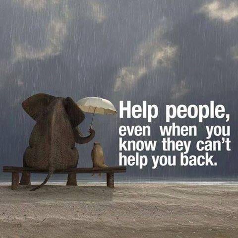 David Edgar's album, Timeline Photos