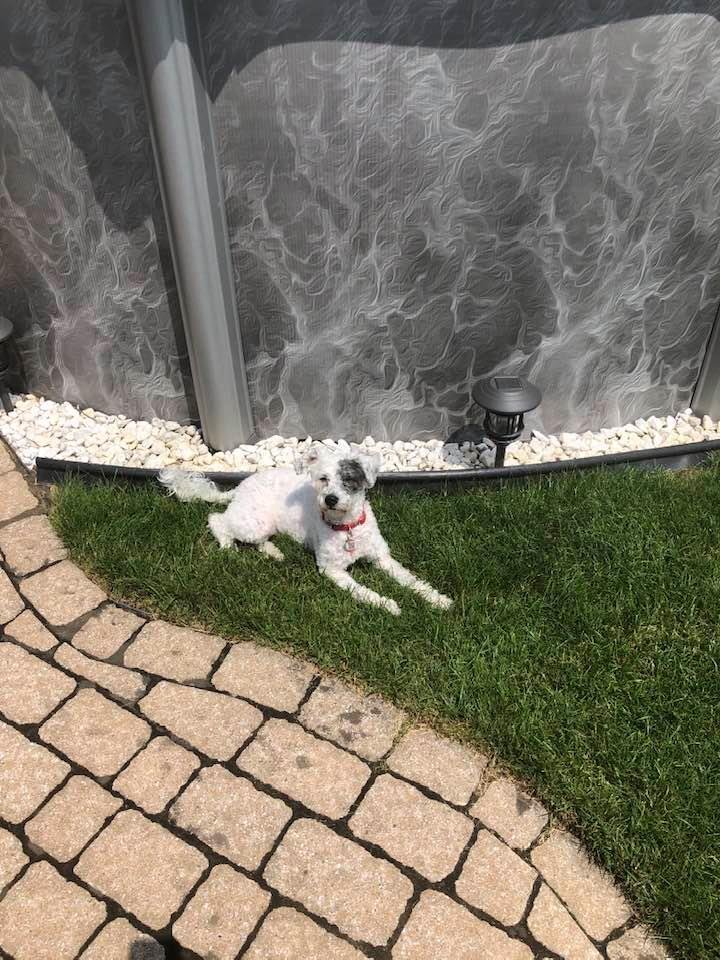 Enjoying his day