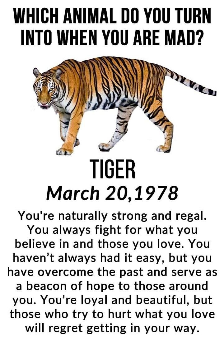 LASHEA RIGGINS's album, Timeline Photos