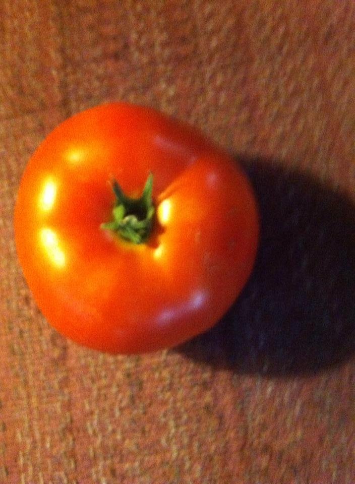 From my garden