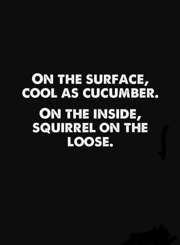 Kyle Marie Bender's album, Timeline Photos