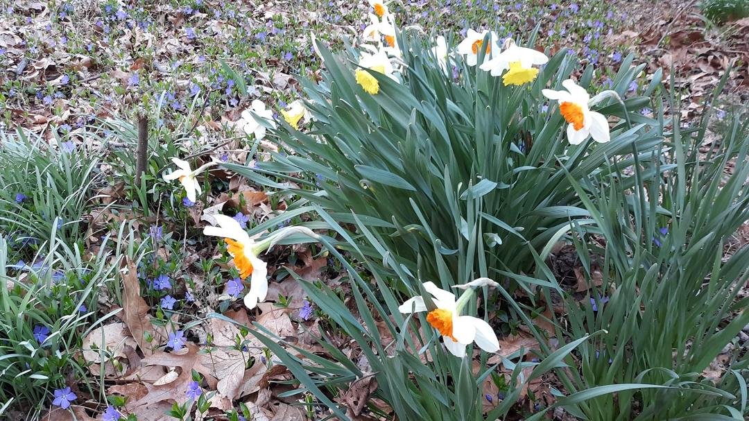 Larry Winters' album, Timeline Photos