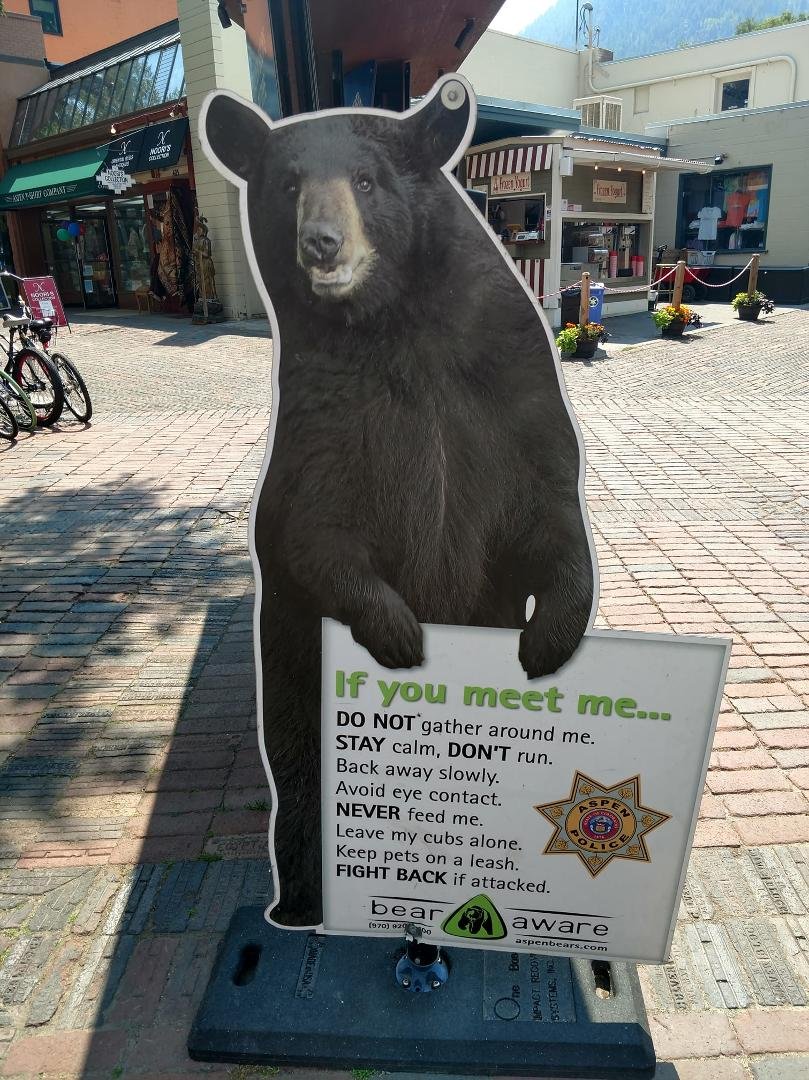 Good advice while in Aspen!