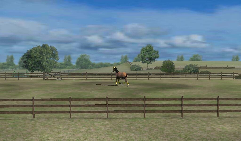 My daughter's horse