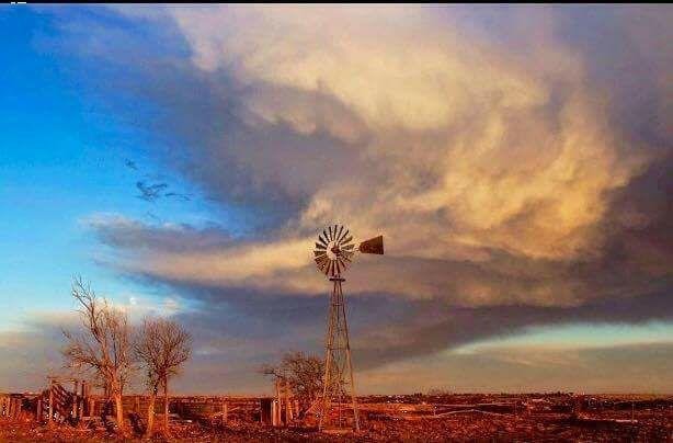 Homesick for the Plains