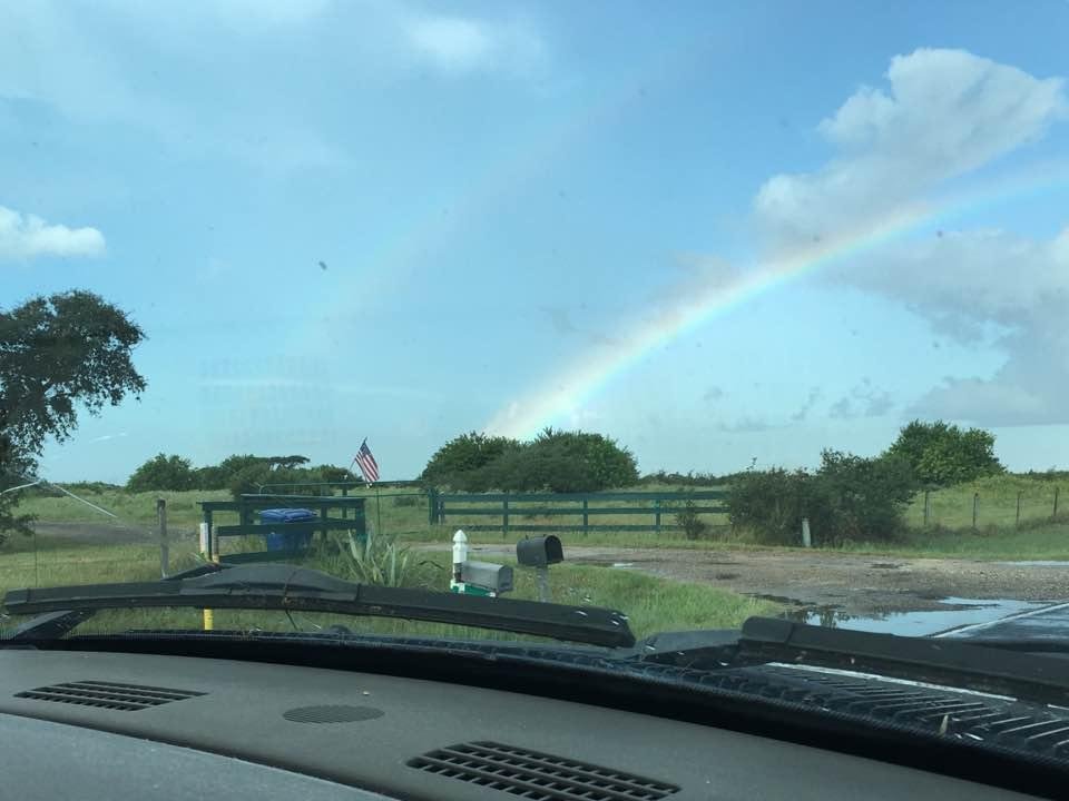 Beautiful way to start my morning. When I started viewing the pic's, I realized there were actually 2 rainbows. Just faint to the left & above the bright one.
God bless you & your day ahead.