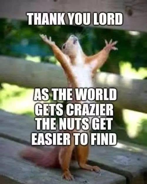 Well that just says it all!
