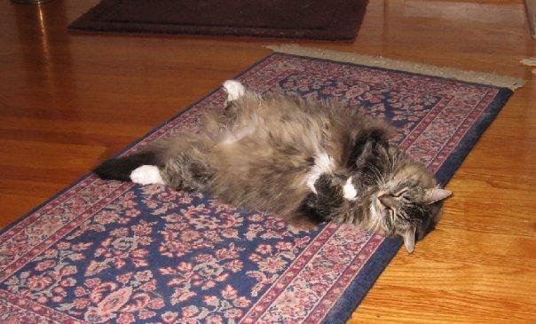 Sophie - not so little any more.