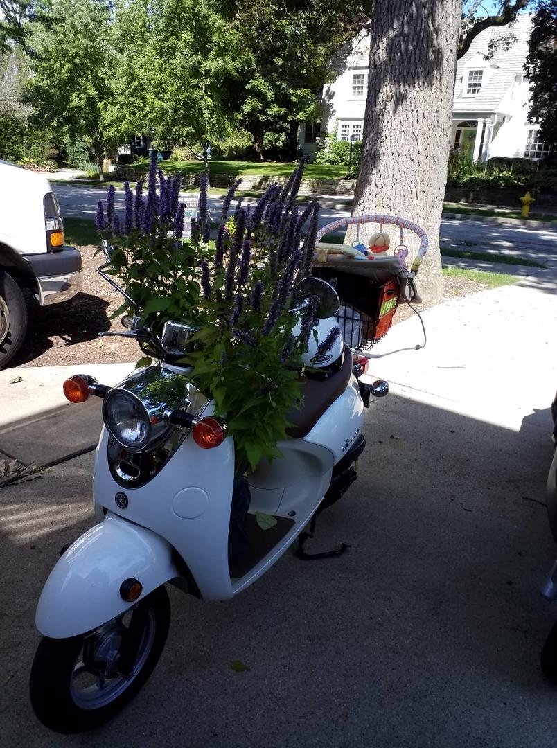 Who says you can`t rummage and shop at the farmer`s market. On your super dooper scooter!!