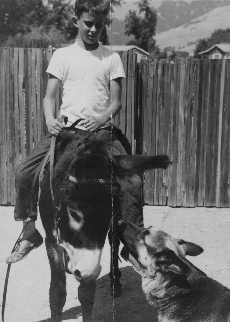 A boy with his dog and jackass. Life is good.