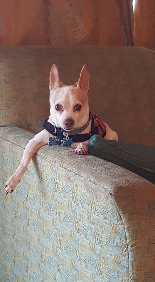 Marcy May's album, Mobile Uploads