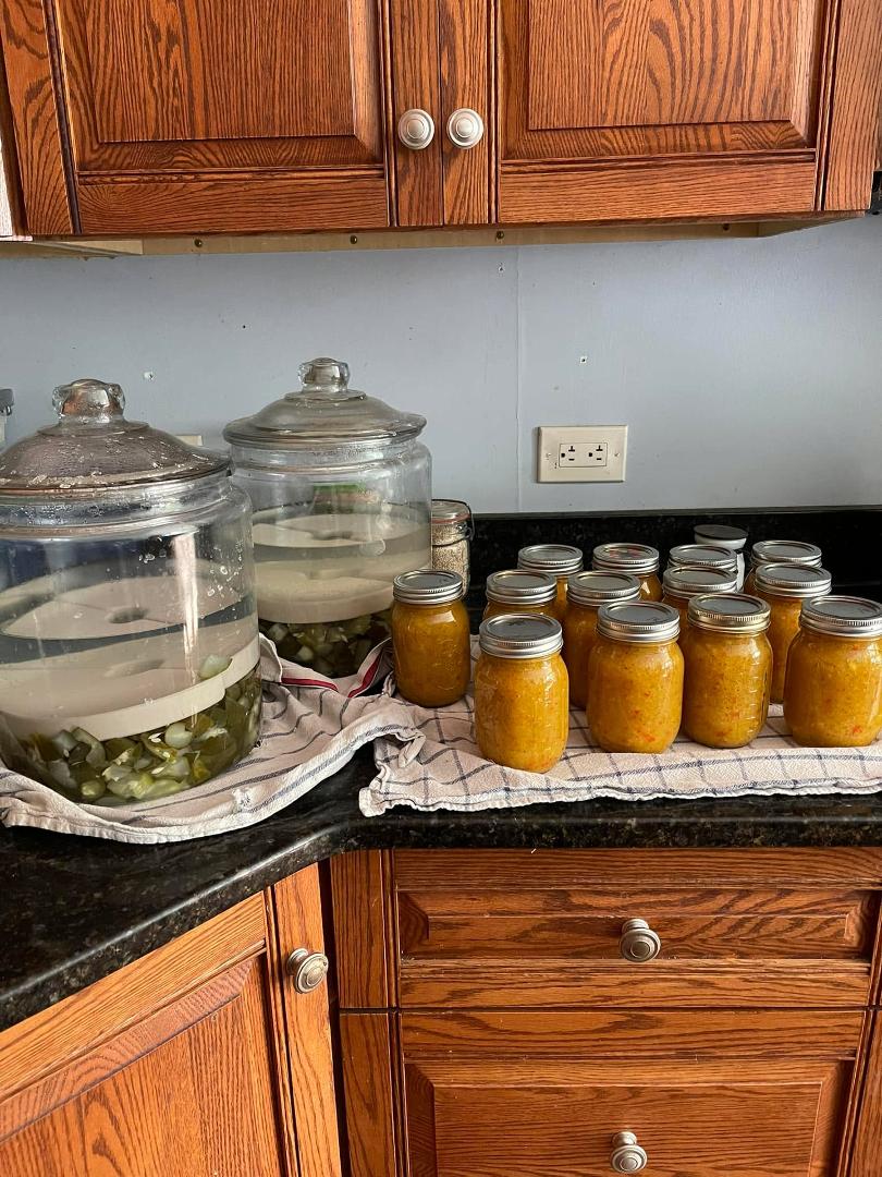 Came home from 55th high school reunion yesterday and made relish. Long day but very fun. And it’s day 11 of 14 day pickles.